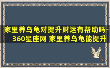 家里养乌龟对提升财运有帮助吗-360星座网 家里养乌龟能提升财运吗？